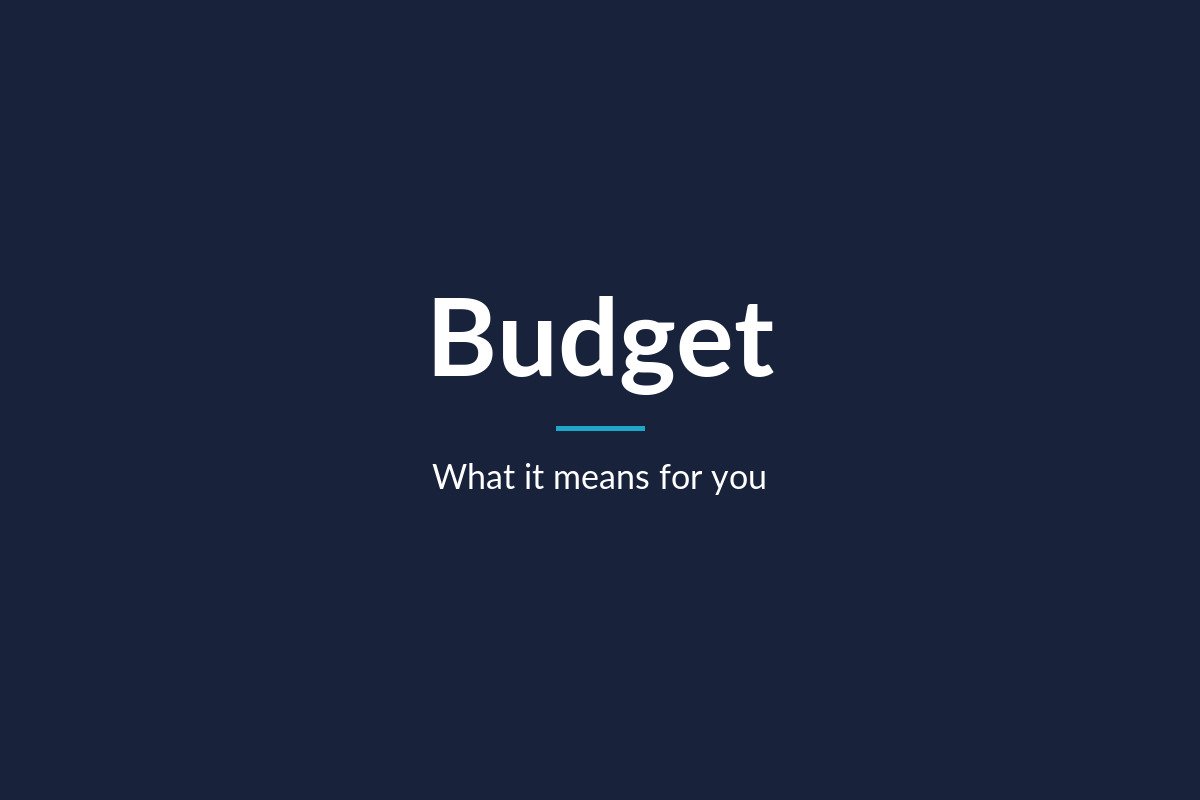 Navy graphic with the word Budget and the line What it means for you